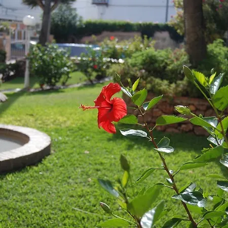 Penthouse Los Jarales 2 Casasol Apartamento *